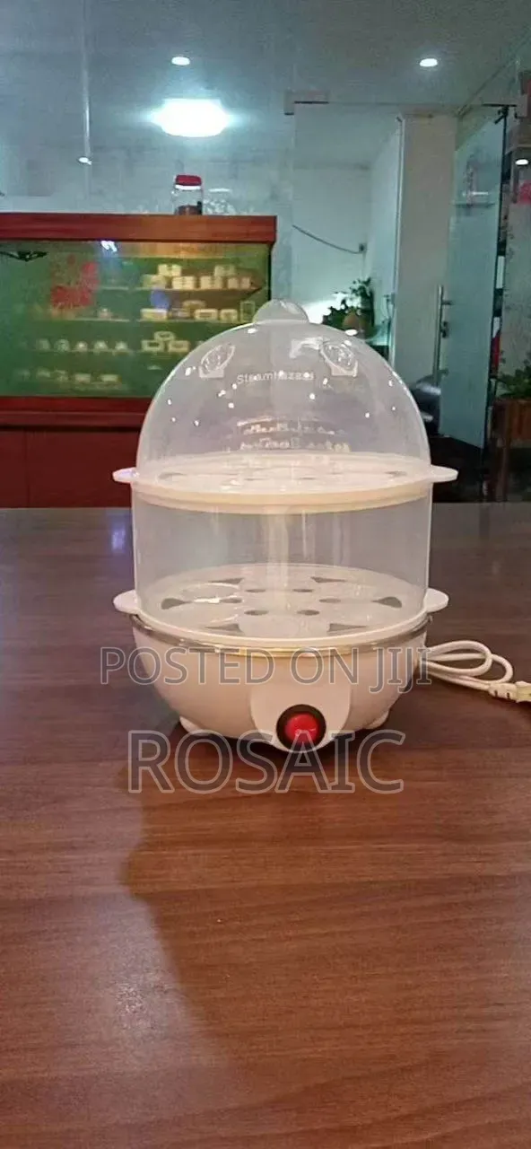Egg Boiler Double Without Handle - 1