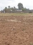 50x100 Plots Near Simba Cement, Nakuru - 4