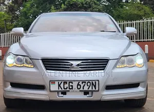 Toyota Mark X 2009 Kijivu