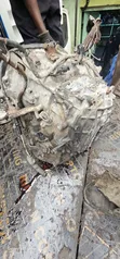 Toyota Probox 1NZ Gearbox - 1