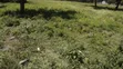 10 Acres Land Near Dangote Refinery, Lamu - 2