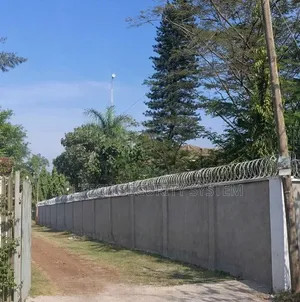 Galvanized Silver Razor Wire (10m)
