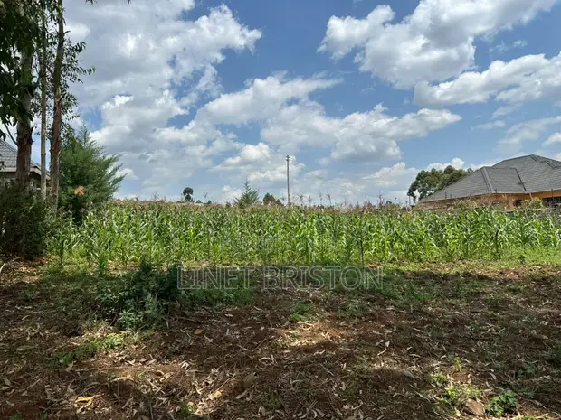 Kitalu cha 1/4 Acre kwa Uuzaji Kahoya, Eldoret - 1