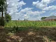 Kitalu cha 1/4 Acre kwa Uuzaji Kahoya, Eldoret - 1