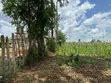 Kitalu cha 1/4 Acre kwa Uuzaji Kahoya, Eldoret - 2