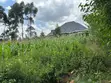 Kitalu cha 1/4 Acre kwa Uuzaji Kahoya, Eldoret - 4