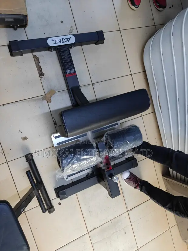 Commercial Sissy Squat Machine - 1