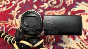 Sony HDR-CX405 Camcorder