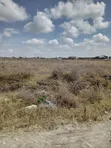Viwanja 50/100 kwa Mauzo, Katani, Syokimau - 2