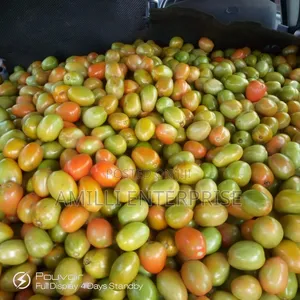 Top-Grade Fresh Tomatoes