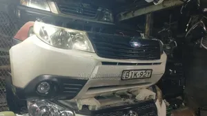 Subaru Forester SH5/9 Nosecut na Xenon & Fog Lights