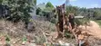 1/8 Acre Plot for Sale - Kerarapon Drive - 5