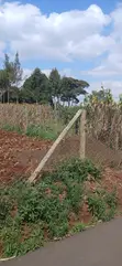 Kitalu Bora cha 1/4 Eka kwa Uuzaji - Kerarapon Drive - 4