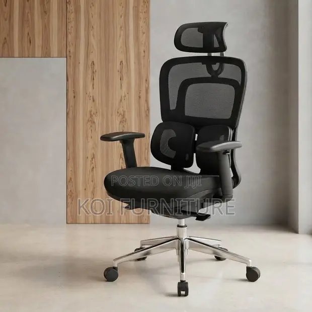 Ergonomic Office Chair with Dual Spine Backrest Support - 1