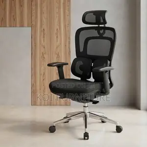 Kiti cha Ofisi cha Ergonomic chenye Usaidizi wa Mgongo wa Dual Spine