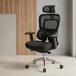 Ergonomic Office Chair with Dual Spine Backrest Support - 1