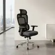 Ergonomic Office Chair with Dual Spine Backrest Support - 3