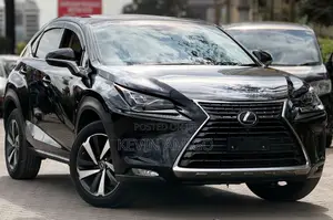 Lexus NX300 2019 Nyeusi