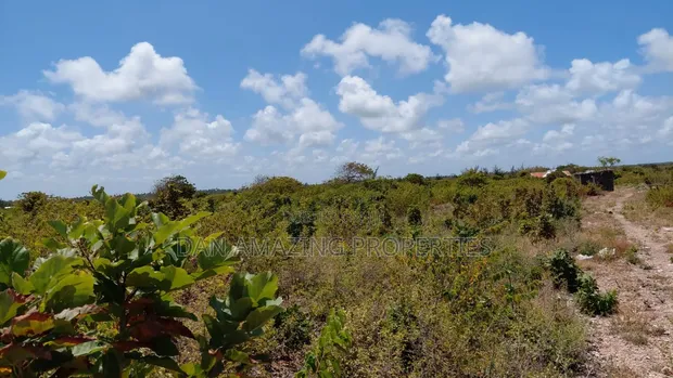 10 Acres Watamu Jacaranda Land - 5 Mins to Beach - 1