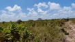 Eko 10 za Jacaranda, Watamu - Dakika 5 kutoka ufukweni - 1