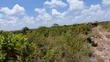 Eko 10 za Jacaranda, Watamu - Dakika 5 kutoka ufukweni - 2
