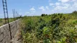 Eko 10 za Jacaranda, Watamu - Dakika 5 kutoka ufukweni - 3