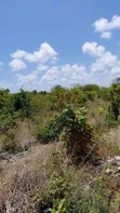 Eko 10 za Jacaranda, Watamu - Dakika 5 kutoka ufukweni - 5