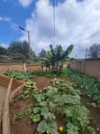 3 Bedroom Bungalow for Sale in Silanga Rd, Matasia - 5