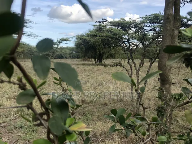 Eka Moja ya Ardhi Tuala, Ongata Rongai - 1