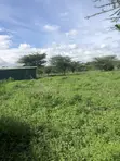 Eka Moja ya Ardhi Tuala, Ongata Rongai - 3