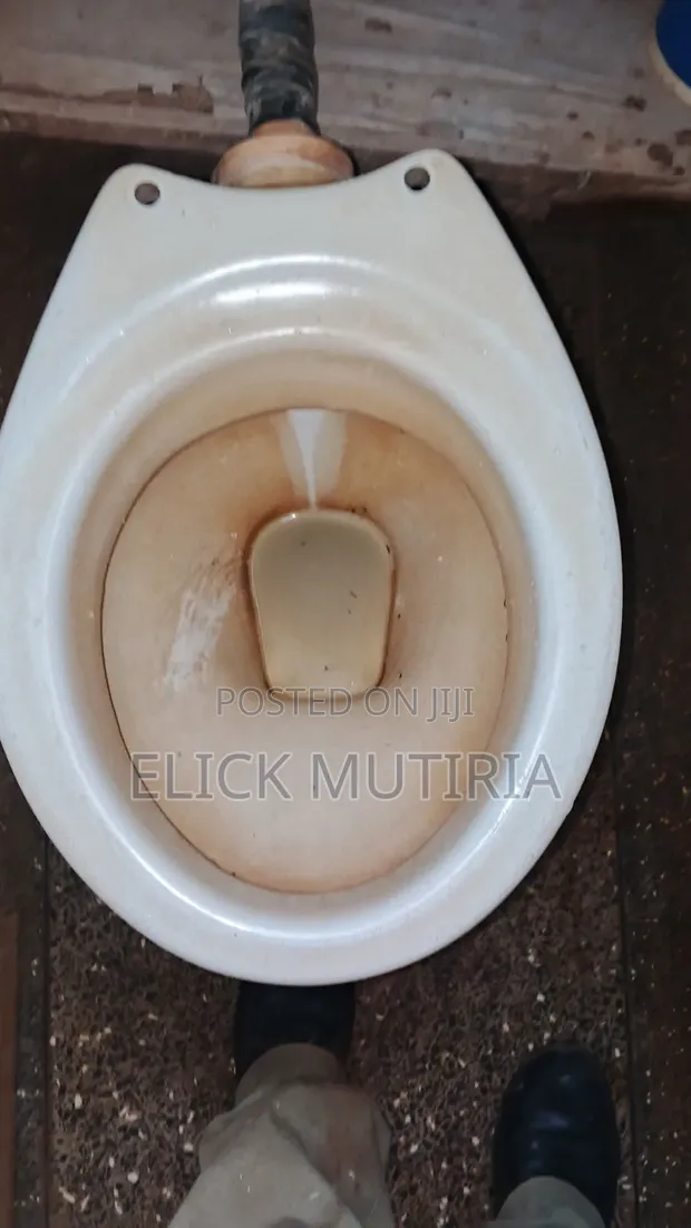 Elmo Cleaners - Toilet, Sink & Tile Cleaning - 1