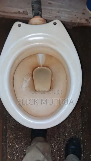 Elmo Cleaners - Toilet, Sink & Tile Cleaning