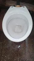 Elmo Cleaners - Toilet, Sink & Tile Cleaning - 2