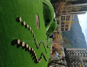Robertson's Artificial Grass Carpet - Brand New