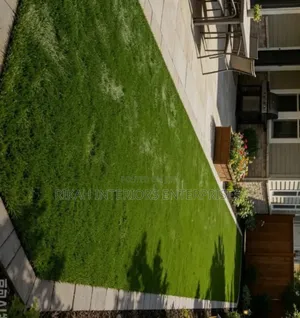 Environmental Friendly Artificial Grass Carpet - Robertson's
