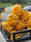Galvanised Fencing Chainlinks - 4