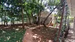 2 Bedroom Bungalow in Karen for Sale - 5