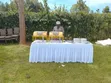 Dalanana Events: Premium Event Organizer - 2