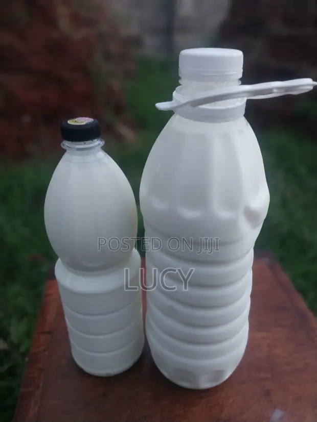 Homemade Kefir Milk & Grains - 1