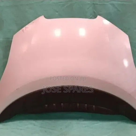 Nissan Leaf Zeo Bonnet Hood - 1