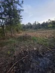 1/4 Acre Plot in Ngong Olkeri for Sale - 3
