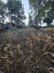1 Acre Plot for Sale in Olkeri, Ngong - 3