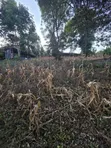 1 Acre Plot for Sale in Olkeri, Ngong - 5