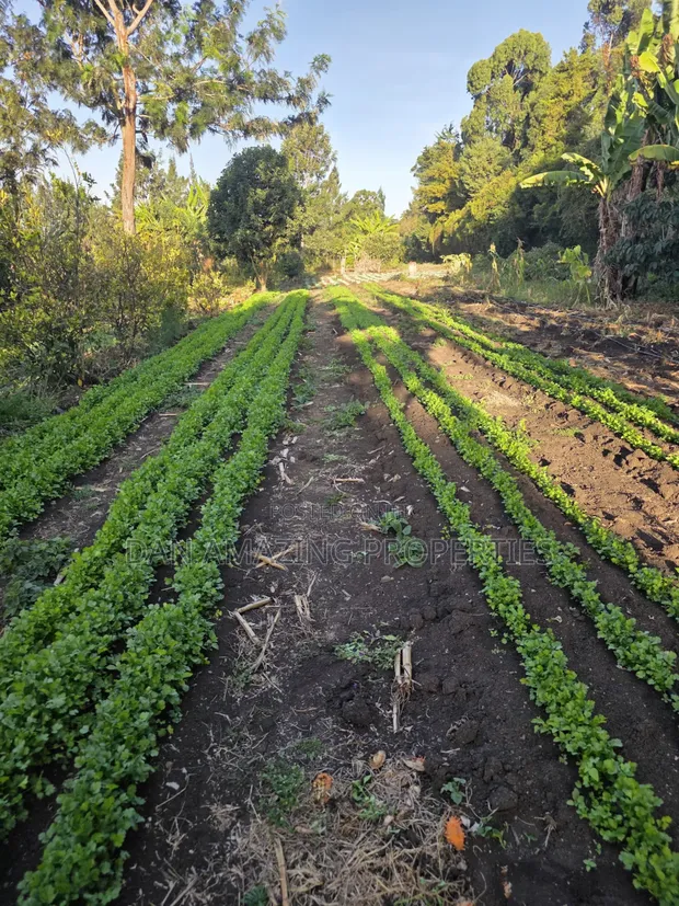 2 Acres Ngong Olkeri with Two Boreholes for Sale - 1