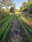 2 Acres Ngong Olkeri with Two Boreholes for Sale - 1