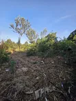 2 Acres Ngong Olkeri with Two Boreholes for Sale - 3