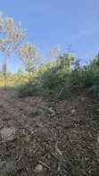 2 Acres Ngong Olkeri with Two Boreholes for Sale - 5