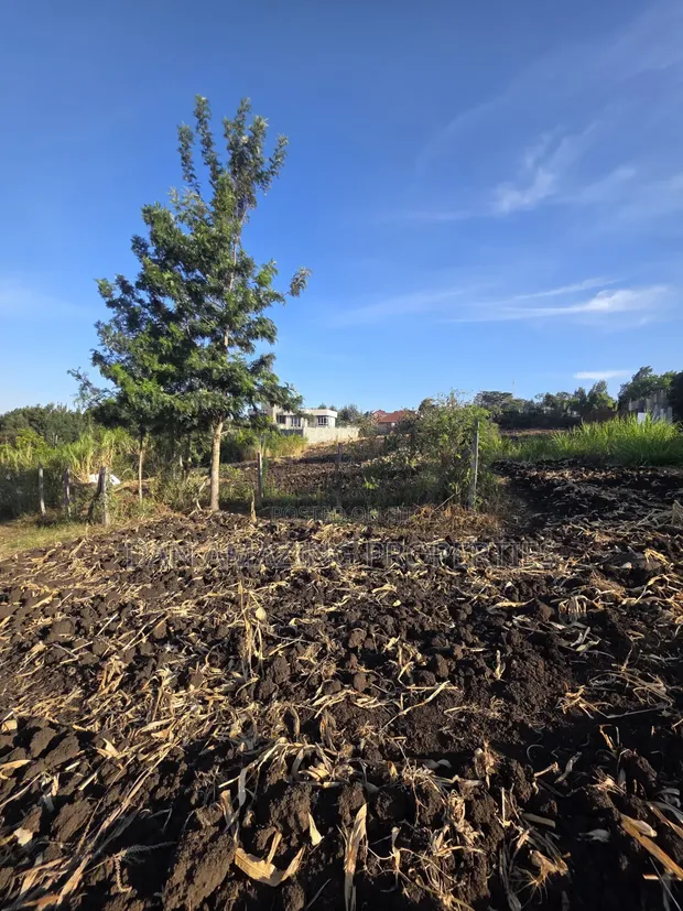 1/2 Acre Plot for Sale in Olkeri, Ngong - 1
