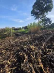 1/2 Acre Plot for Sale in Olkeri, Ngong - 2