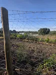 1/2 Acre Plot for Sale in Olkeri, Ngong - 3